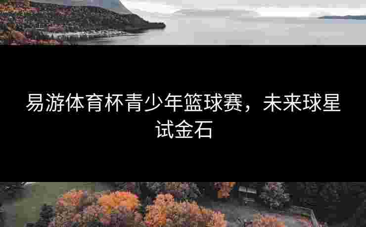 易游体育杯青少年篮球赛，未来球星试金石