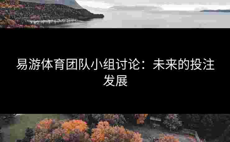 易游体育团队小组讨论：未来的投注发展